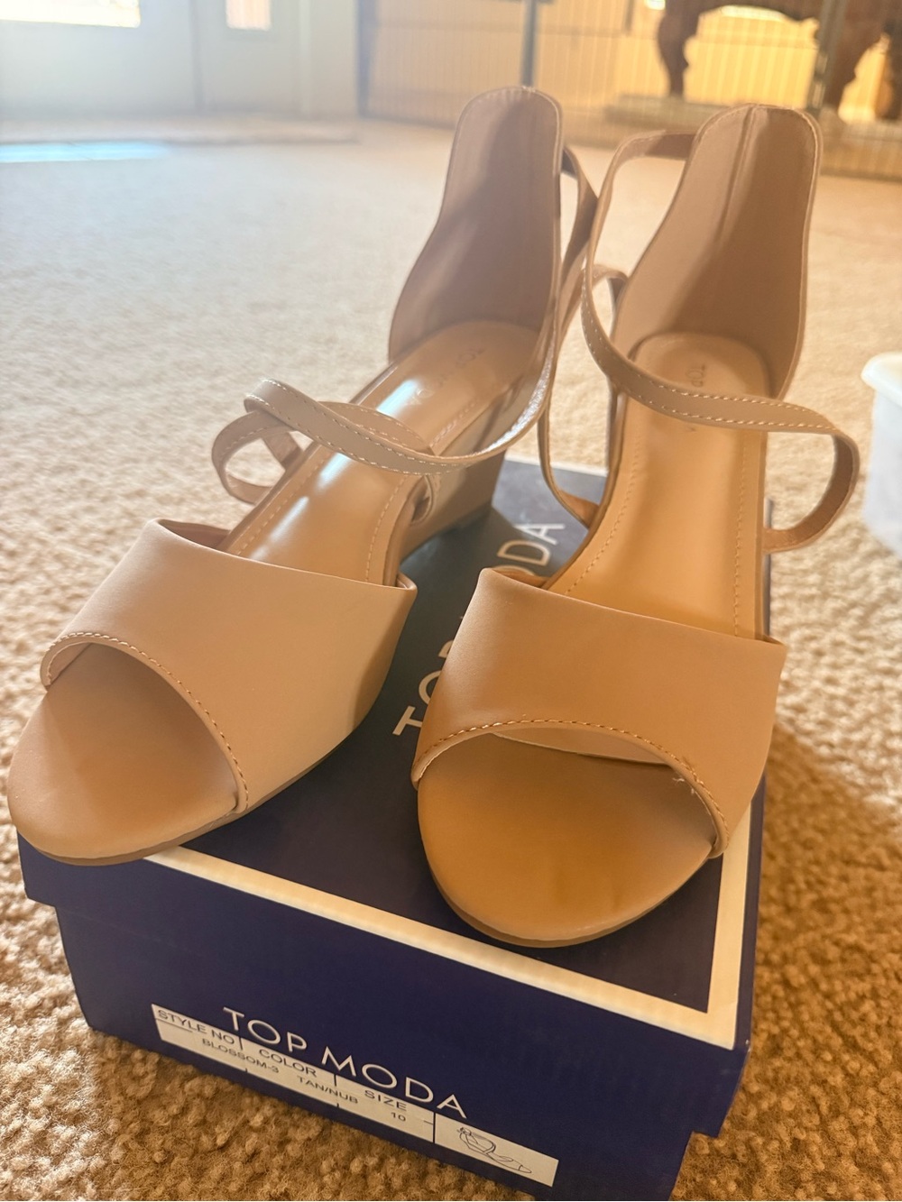 TOP Moda Women's Tan Strappy Block Heel Sandals